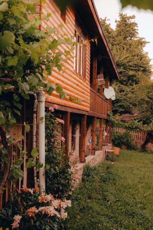 Teo Guesthouse And Camping In メスティア エクステリア 写真