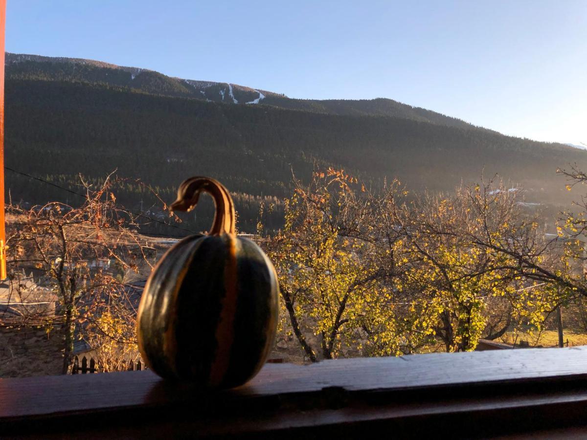 Teo Guesthouse And Camping In メスティア エクステリア 写真